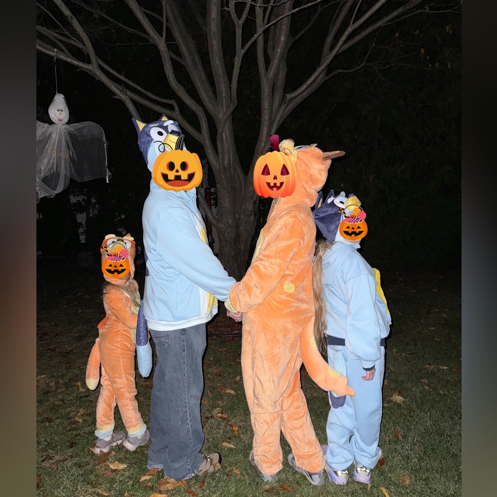Bluey Hoodie - jacket Halloween costume
